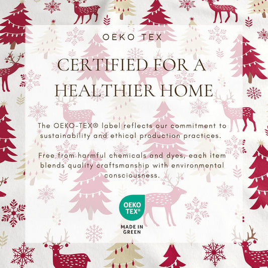 Winter 100% Turkish Cotton Flannel Sheet Sets