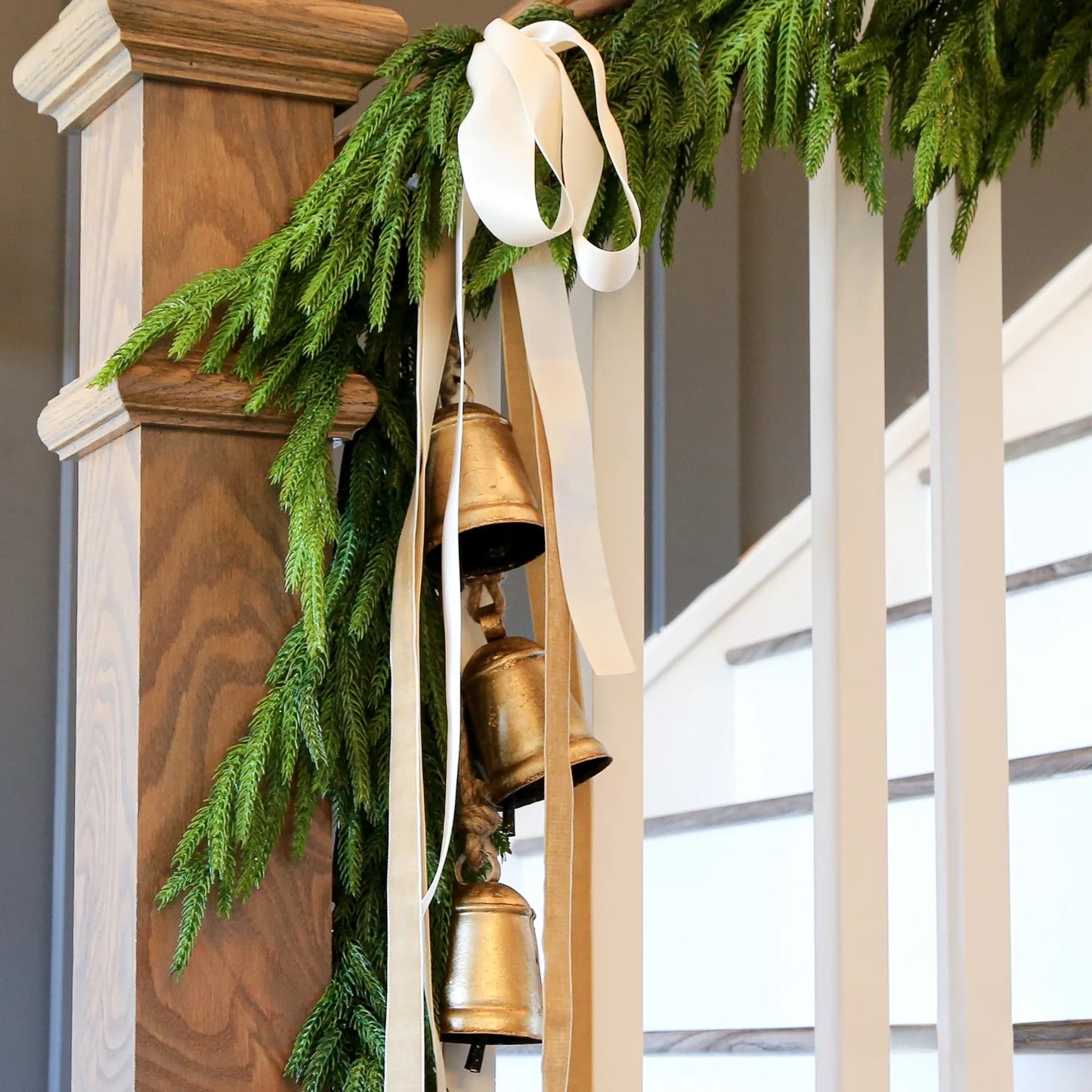 60'' Real Touch Norfolk Pine Christmas Garland