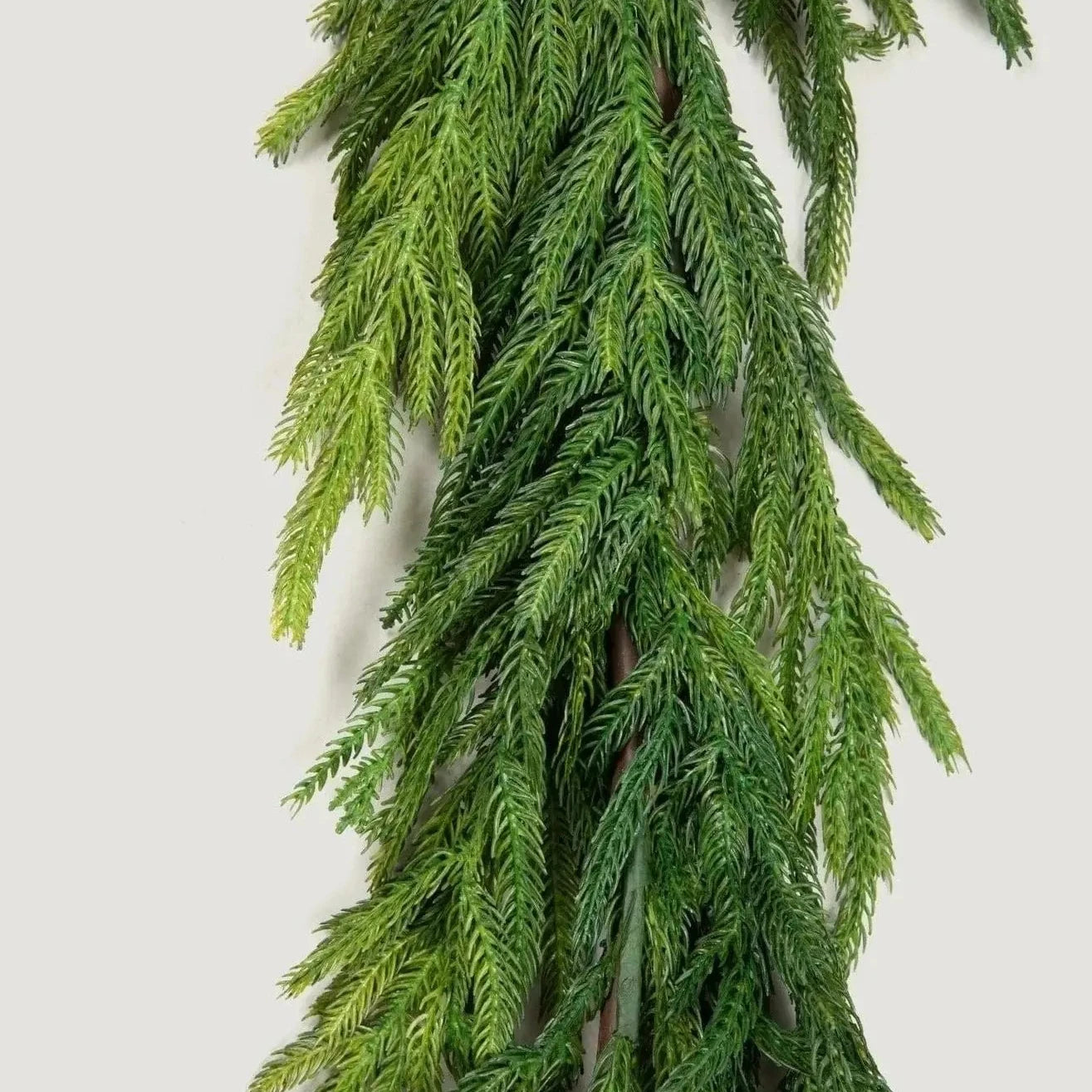 60'' Real Touch Norfolk Pine Christmas Garland