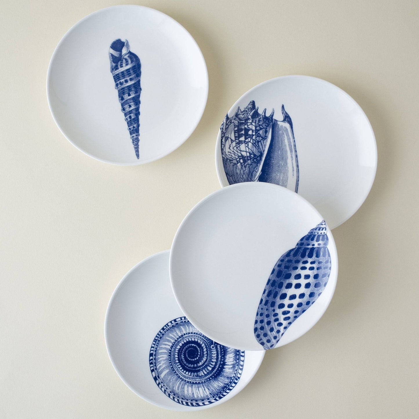 Nautical Blue Seashell Porcelain Dinnerware