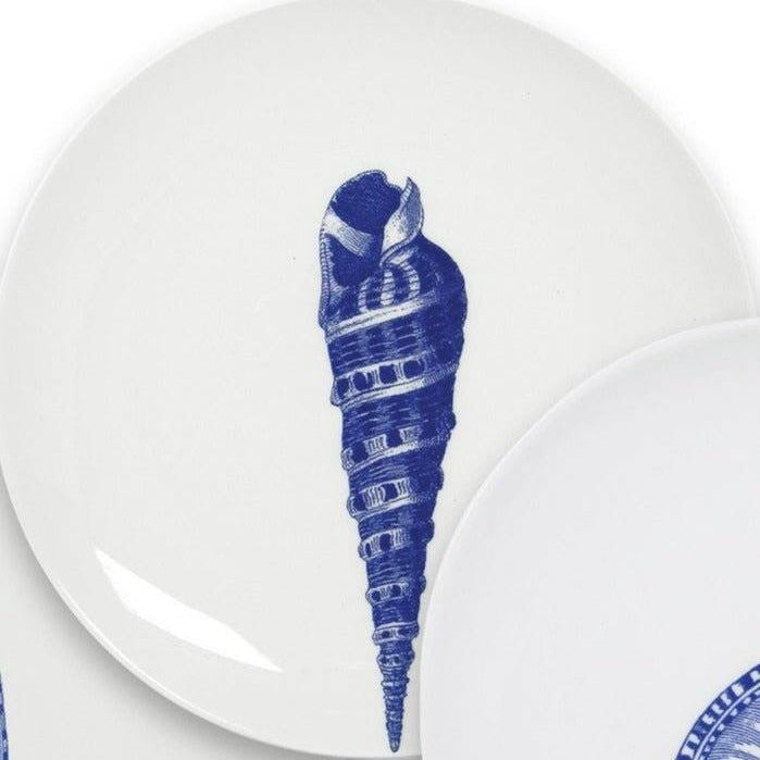 Nautical Blue Seashell Porcelain Dinnerware