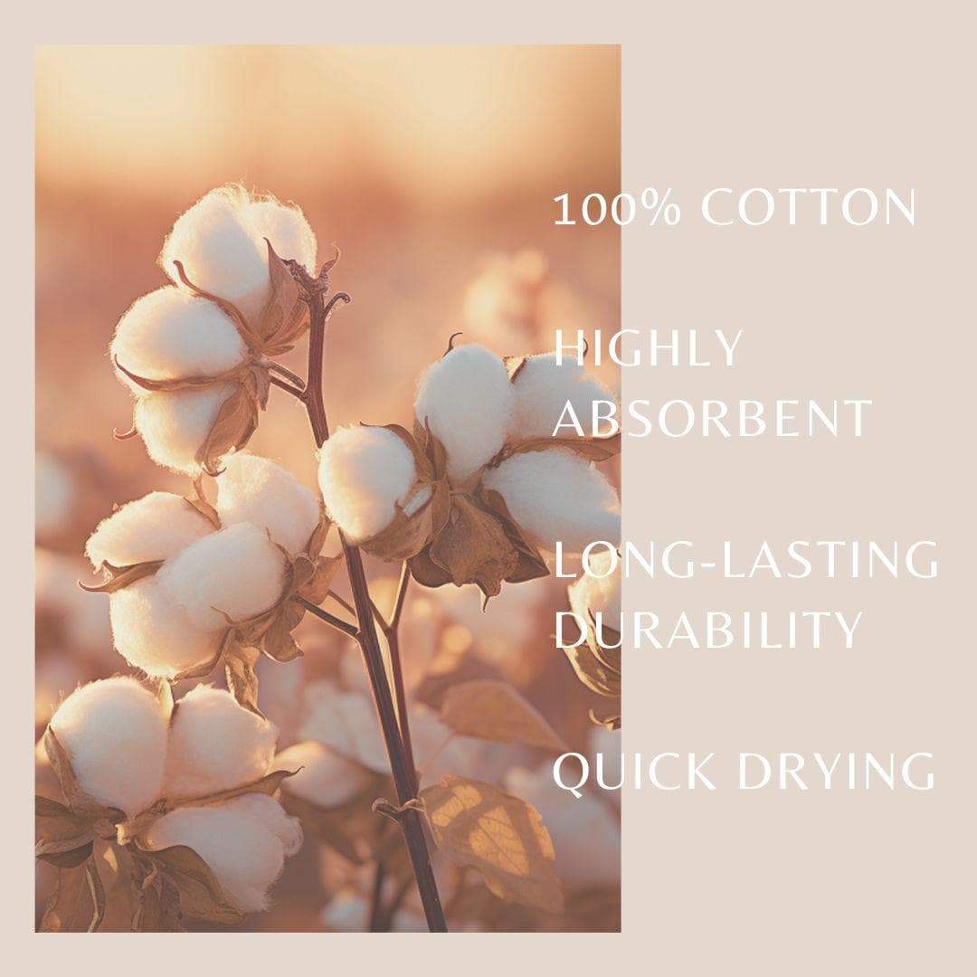 6 Pack Cotton Hand Towels